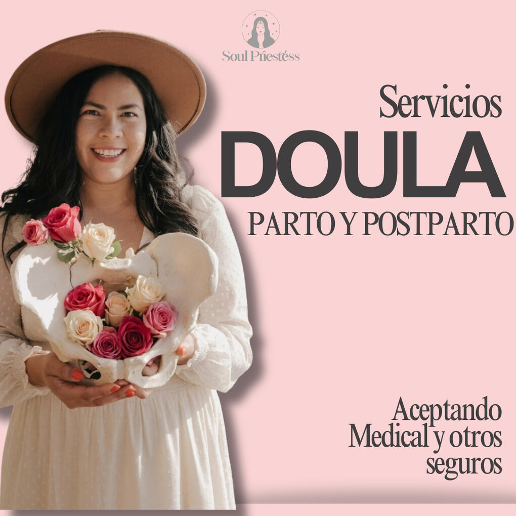 SERVICIOS DE DOULA servicios de doula